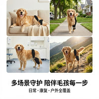 Pet Dog Knee Brace for ACL Tear Injury Recovery Joint Support