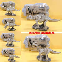 Large Dinosaur Fossil Excavation Kit Blind Box - Tyrannosaurus Rex Skeleton Relief