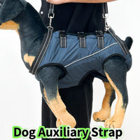 Dog Full Body Support Harness for Injured, Disabled, or Elderly Dogs