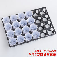 24-Hole Succulent Planter Tray with Optional Square Pots for Seedling Propagation