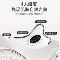 EMS Microcurrent Facial Massager & Neck Scraper with Constant Temperature