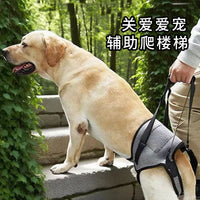 Pet Rear Leg Support Harness for Injured, Disabled, or Senior Dogs