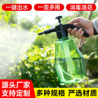 Pressurized Garden Sprayer with Extended Wand for Watering Plants