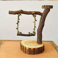 Bird Playground Perch with Swing and Food Box for Small Parrots and Budgies