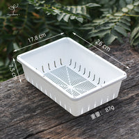 Small Plastic Seedling Tray for Succulents and Cuttings, Flower Propagation Planter