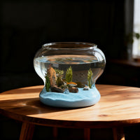 Desktop Micro-Landscape Plastic Fish Tank for Goldfish, Betta, and Turtles