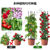 Garden Trellis for Climbing Plants, Metal Plant Support Stake for Potted Flowers, Indoor Outdoor Use