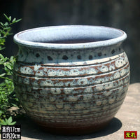 Vintage Hydroponic Planter Pot for Indoor Plants - No-Hole Design for Water Cultivation