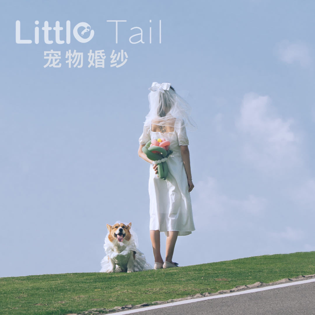 Pet Dog Wedding Dress Cat Princess Skirt Puppy Photography Costume Thin Corgi Clothes