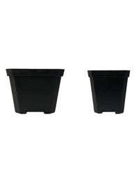 Thickened Square Plastic Succulent Planter Pots for Seedling Propagation