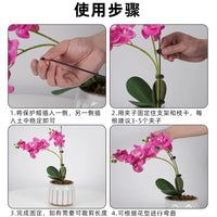 Orchid Plant Support Stakes with Clips for Potted Flowers and Gardening