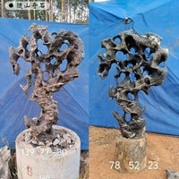 Taihu Lake Natural Stone Outdoor Chinese Garden Landscape Rock Indoor Home Entrance Ornament Desktop Viewing Stone