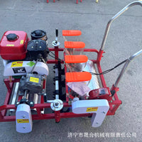 Hand-Pushed Agricultural Seeder for Garlic, Angelica, and Vegetable Planting