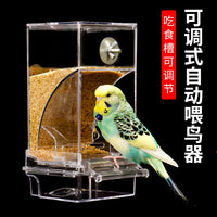 No-Mess Bird Feeder with Husk Separation for Parakeets and Cockatiels
