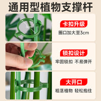 Plant Support Stakes with Clips for Garden Flowers and Stems, Fiberglass and Plastic