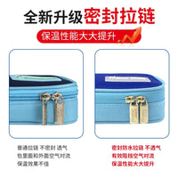 Portable Insulin Cooler Bag with Ice Packs for Travel and Medication Storage