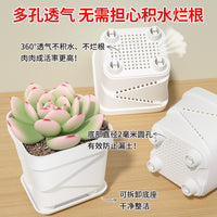 Rectangular Succulent Planter with Detachable Tray for Windowsill & Desktop