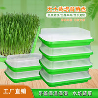 Hydroponic Seed Sprouting Tray with Lid for Home Gardening