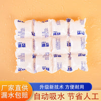 Self-Absorbing Ice Pack for Fresh Food Cold Chain Transport and Wholesale