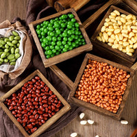 Realistic Faux Grains & Legumes Food Models for Crafts & Display