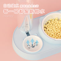 Automatic Water Dispenser Pet Bowl with Food Feeder for Cats and Dogs, Anti-Spill Double Bowl Design