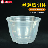 Self-Watering Hydroponic Planter Pot for Indoor Plants