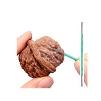 304 Stainless Steel Double-Ended Wire Brush for Walnut Cleaning and Craft Maintenance
