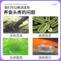 Ceramic and Glass Bio Filter Media for Aquarium Fish Tanks - Nitrifying Bacteria Cultivation and Water Purification