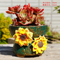 Hand-Painted Ceramic Succulent Planter Pot with Coarse Grains for Multi-Plant Arrangements