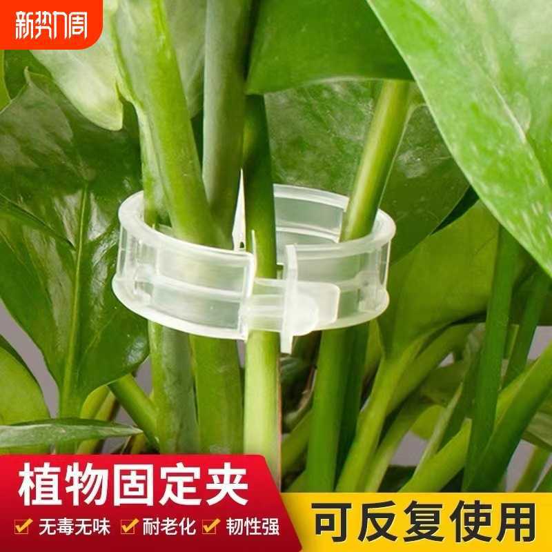 Plant Vine Clips for Climbing Plants, Fruit Trees, and Vegetables - Support and Training Clips