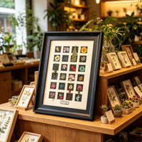 Wooden 3D Display Frame A4 with 24 Grids for Pressed Plants, Insect Specimens, DIY Mounting