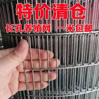 Galvanized Steel Wire Mesh Fence for Poultry Cages and Protective Enclosures