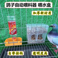Automatic Pigeon Feeder and Waterer for Cages, Anti-Scatter Food Dispenser