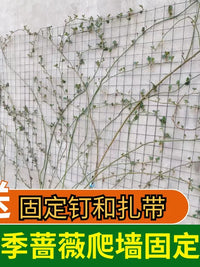 Garden Plant Climbing Net for Roses and Vines, Trellis Support Mesh for Outdoor Wall Climbing