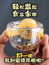 Parrot Feeder with Perch and Food Bowl for Small Birds