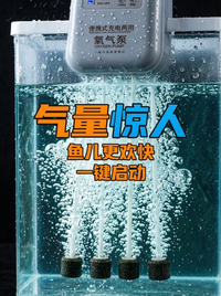 Rechargeable Dual-Use Oxygen Air Pump for Fishing and Outdoor Aquariums
