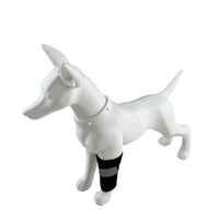 Dog Front Leg Brace for Injury Recovery and Support, Adjustable with Velcro