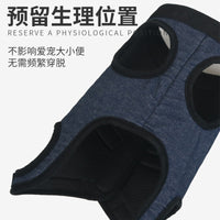 Pet Mobility Harness for Post-Surgery Support and Walking Assistance