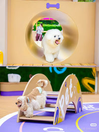Pet Playground Dog Agility Training Equipment Obstacle Course Physical Fitness Gear