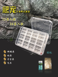 Reptile Egg Incubation Box with Divider for Lizards, Geckos, and Tortoises