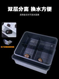 Turtle Hatchling Isolation Box with Lid and Feces Separation Plate