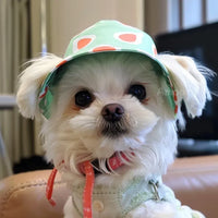Pet Sun Protection Hat with Ear Holes for Cats and Small Dogs, Summer Fisherman Cap