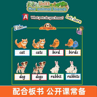 Erasable English Teaching Whiteboard Sticker for Sentence and Word Practice