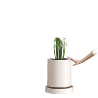 Adjustable Rectangular Plant Pot Mover with Water Tray and Wheels