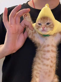 Pet Banana Cat Hat Headwear for Small Cats and Puppies Photo Props
