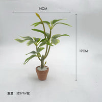 Dollhouse Miniature Potted Green Plant Decoration for BJD Dolls