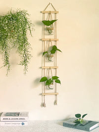Modern Minimalist Wall-Mounted Hydroponic Glass Vase Decor