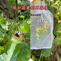 Fruit Protection Bags for Pest and Bird Control - Nylon Mesh Netting for Grapes, Tomatoes, Strawberries, Figs