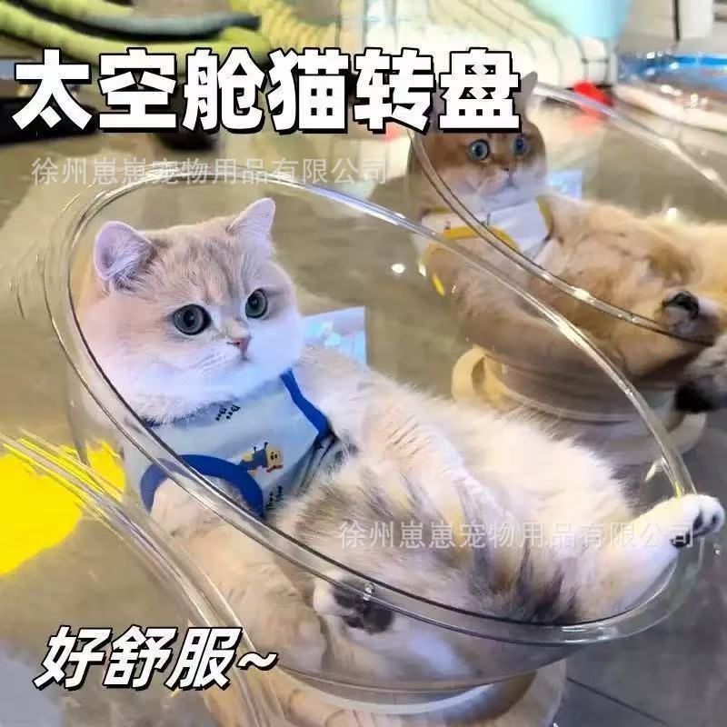 Large Transparent Acrylic Cat Space Capsule Bed for All Seasons