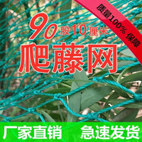 Heavy-Duty Plant Climbing Net for Cucumber, Passion Fruit, Gourd, and Grape Vines - Garden Trellis and Protection Net